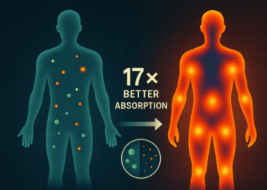 Nano absorption technology visualization
